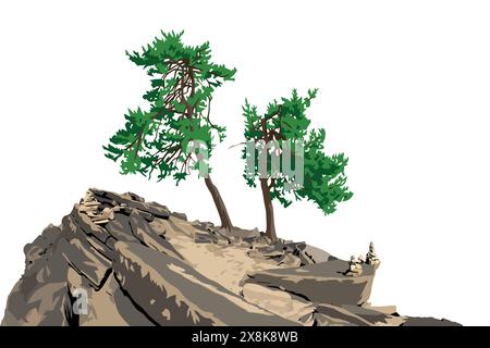 Trees, two pine trees on hill isolated on white sky background Stock Vector