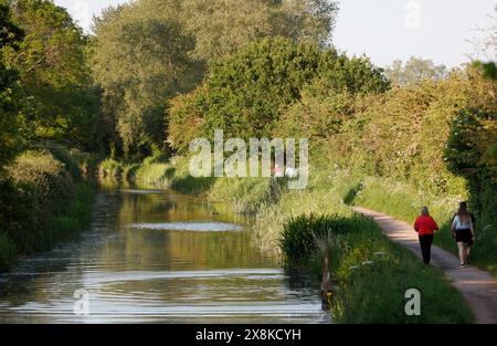 Bridgewater & Taunton Canal, Creech St Michael, Taunton, Somerset, England, United Kingdom Stock Photo