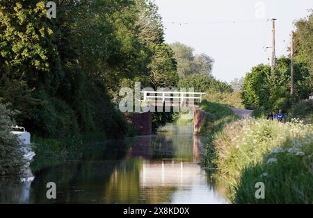 Bridgewater & Taunton Canal, Creech St Michael, Taunton, Somerset, England, United Kingdom Stock Photo