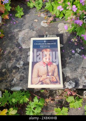 Villette Novel by Charlotte Bronte Book in a Garden Scenery in Spring Stock Photo