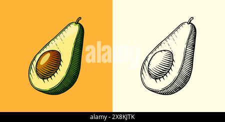Tropical avocado. Evergreen fruit plant. Isolated Vector hand drawn. Vintage template for design. Engraved monochrome sketch Stock Vector