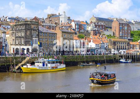 Whitby UK Tourist boats for sea trips and boat trip excursions on the River Esk in Whitby Harbour Whitby North Yorkshire UK GB Europe Stock Photo