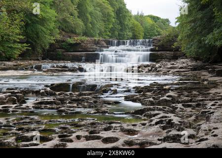 Yorkshire Dales National Park, North Yorkshire, England. Lower Aysgarth Falls on the River Ure, Wensleydale. Stock Photo