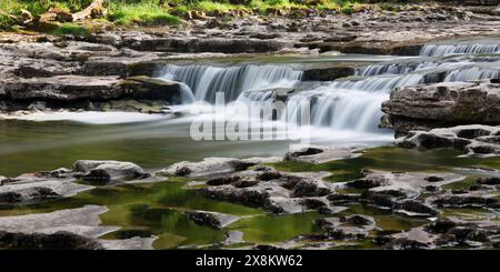 Yorkshire Dales National Park, North Yorkshire, England. Lower Aysgarth Falls on the River Ure, Wensleydale. Stock Photo