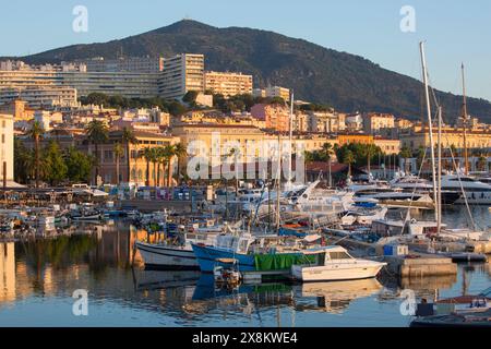 Ajaccio, Corse-du-Sud, Corsica, France. View across the Tino Rossi marina and fishing port, sunrise, boats reflected in tranquil water. Stock Photo