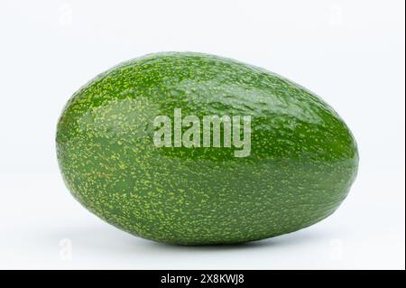 One green shiny avocado vegetable isolated on white studio background Stock Photo