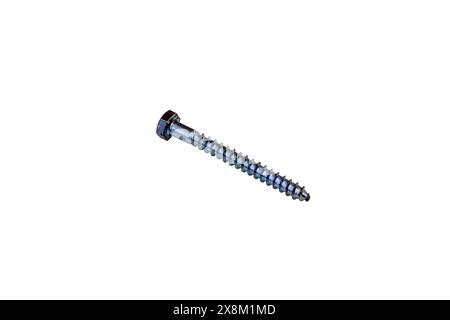 One Screws Macro isolated on a white background. Stock Photo