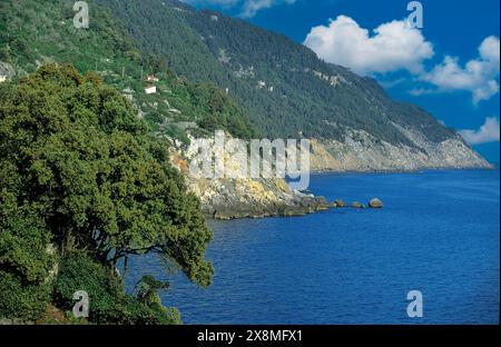 Italy  Liguria Province of  La Spezia Parco Montemarcello-Magra -  Near Tellaro Coast Stock Photo