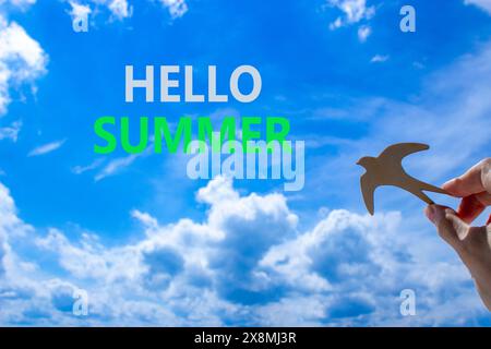 Hello summer symbol. Concept words Hello summer on beautiful sky. Beautiful blue sky cloud background. Businessman hand with wooden bird. Business lif Stock Photo