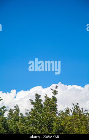 Atmospheric cumulus clouds in the blue sky Stock Photo - Alamy