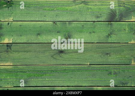 Green painted wood texture, wooden background Stock Photo