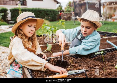 Girl and boy taking care of small vegetable plants in raised bed, holding small shovel. Childhood outdoors in garden. Stock Photo