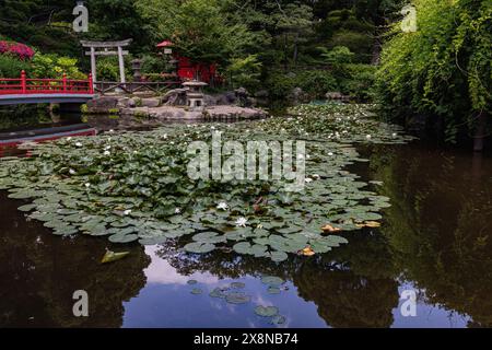 Sudo Park rises like an amphitheater around a central pond and shrine to Benzaiten, the goddess of love, water, fortune, music and poetry.  Sudo Park Stock Photo