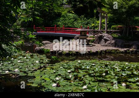 Sudo Park rises like an amphitheater around a central pond and shrine to Benzaiten, the goddess of love, water, fortune, music and poetry.  Sudo Park Stock Photo