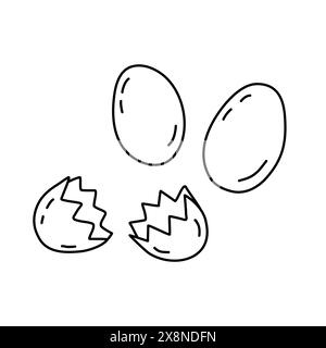 Fresh farm eggs whole and broken, cooking or baking ingredients, doodle style flat vector outline illustration for kids coloring book Stock Vector