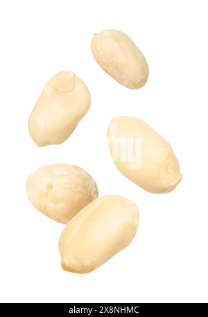 Many peanuts in air on white background Stock Photo