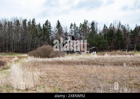 Collapsed barn in St. Peters Bay, Prince Edward Island, Canada Stock Photo