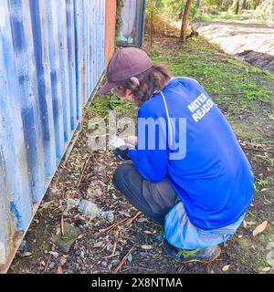 Water meter reader crouching down to read a water meter beside an old fence at the rear of a shopping centre Stock Photo