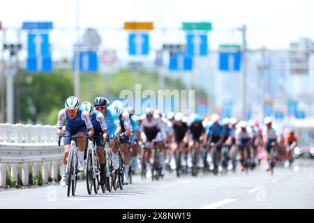 Tokyo, Japan. 26th May, 2024. General view Cycling : Tour of Japan 2024 Tokyo stage in Tokyo, Japan . Credit: Yohei Osada/AFLO SPORT/Alamy Live News Stock Photo