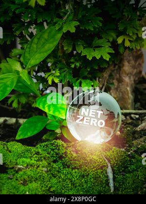 Reduce CO2 emissions, limit climate change, global warming, net zero carbon dioxide reduction concept. Net Zero, white text on glass earth globe on gr Stock Photo