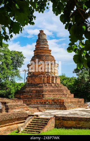The stupa at Wat E-Kang, Wiang Kum Kam, framed by the leaves of a bidhi tree Stock Photo