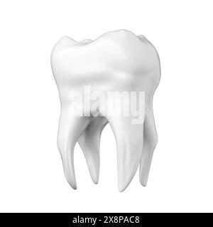 White healthy molar tooth 3D render Stock Photo - Alamy