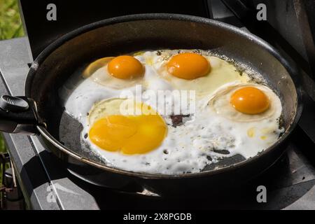 Chicken eggs fried in frying pan on gas barbeque stove Stock Photo