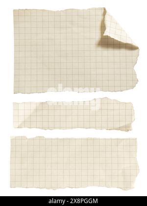 Set of torn grid papers on white background with clipping path Stock Photo