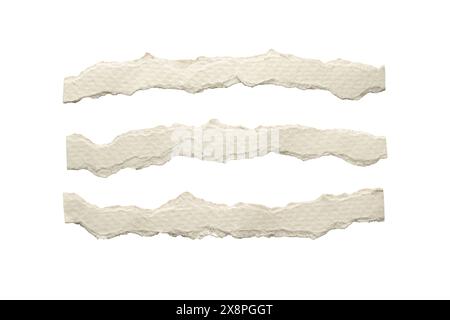 Torn narrow long white paper with squiggly edges on white background with clipping path Stock Photo