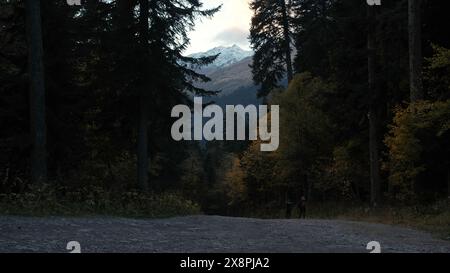 Beautiful forested landscape in a peaceful place with nature. Creative. Mother and boy hikers walking along trees. Stock Photo