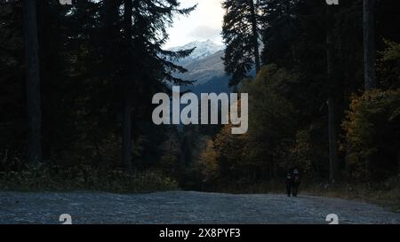 Beautiful forested landscape in a peaceful place with nature. Creative. Mother and boy hikers walking along trees. Stock Photo