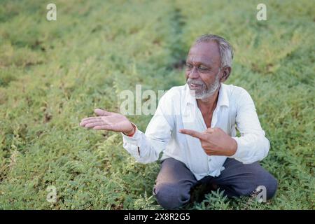 Indian happy farmer in a chickpea farm Stock Photo - Alamy