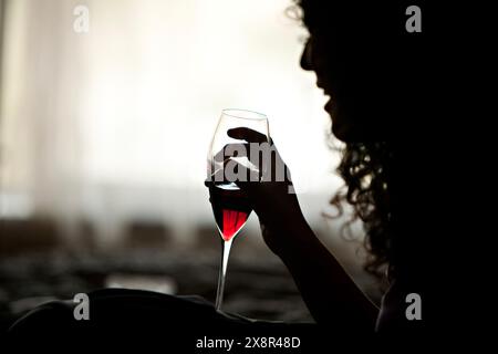 Silhouetted woman holding a glass of red wine, backlit by soft light Stock Photo