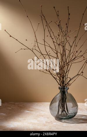 a glass vase on the table in the sunlight with dry tree branches Stock Photo