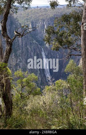 Wollemombi waterfall falls in Oxley Rivers national park, Australia's second largest waterfall, with chandler falls beside,NSW,Australia Stock Photo