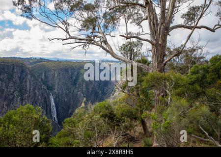 Wollemombi waterfall falls in Oxley Rivers national park, Australia's second largest waterfall, with chandler falls beside,NSW,Australia Stock Photo