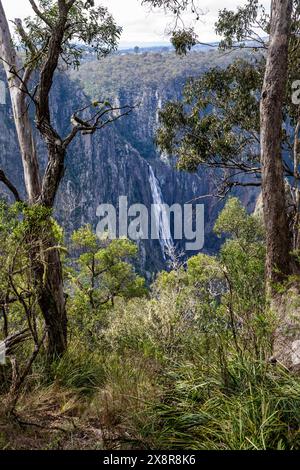 Wollemombi waterfall falls in Oxley Rivers national park, Australia's second largest waterfall, with chandler falls beside,NSW,Australia Stock Photo