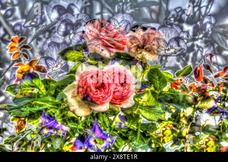 Oil painting, rose (Rosa), pink flowers, flowers creative, different plants mixed, violet (Viola), pansies in grey, artistic shot, violet flowers Stock Photo