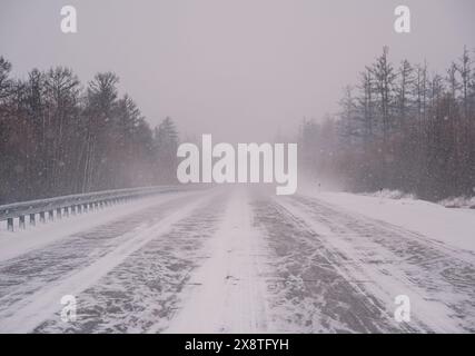 Snow-covered highway through forest during intense winter storm in daytime Stock Photo