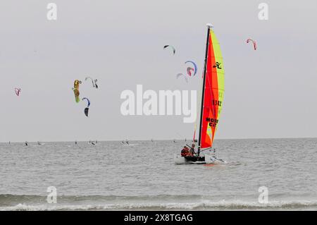 Kitesurf World Cup 2009, Sankt Peter-Ording, Nordfriesland, Schleswig-Holstein, Germany, Europe, A colourful catamaran sails on the sea while several Stock Photo