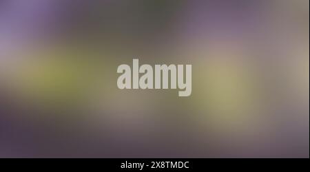 Light green blue soft abstract background with smooth color gradient and color splashes Stock Photo