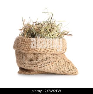 Dried hay in burlap sack isolated on white Stock Photo