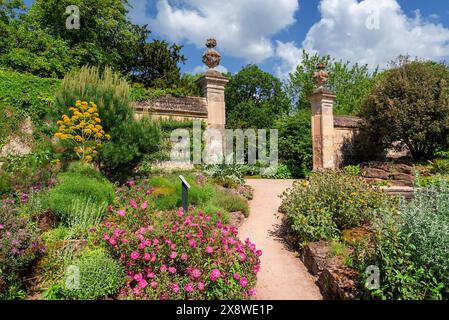 View of the Oxford Botanic Garden, plants, flowers and the historical gate which is the oldest in Great Britain university, in the spring season Stock Photo