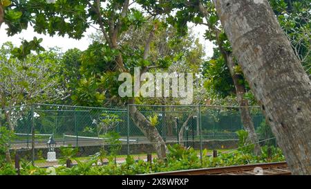 Side view of a train carrying tourists on a summer day. Action. Old train and green vegetation round, concept of public transport in the countryside. Stock Photo