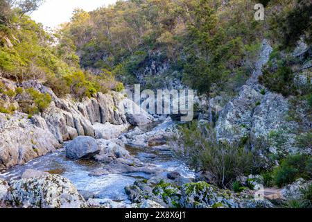 Wollemombi river in Oxley Rivers national park, flowing to Australia's second largest waterfall, NSW,Australia Stock Photo