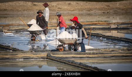 A salt farmers is harvesting salt under the hot summer sun. villagers working on salt farms in Vietnam. Hard working men. May 8,2024 Stock Photo