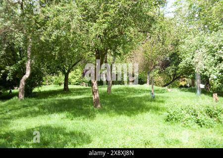 Thornhill Square Gardens; Islington, London, UK;  small park; trees; lawn; grass; children's playground; public park; Stock Photo