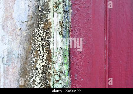The wall paint is peeling and moldy selective focus Stock Photo