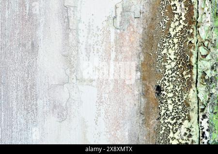 The wall paint is peeling and moldy selective focus Stock Photo