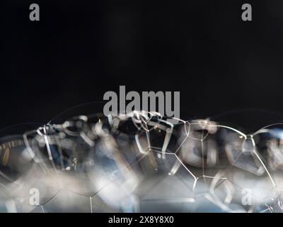 Abstract white soap foam bubbles texture background. Bubble texture isolated on black background for composition. Close-up photo. Stock Photo